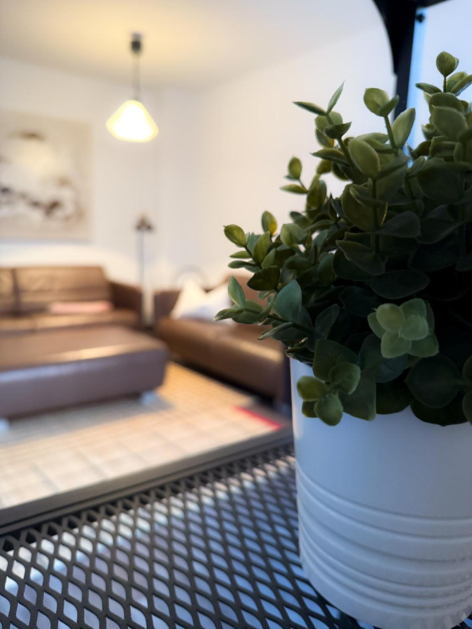 Alexxanders Apartments & Studios Chemnitz Zimmer foto